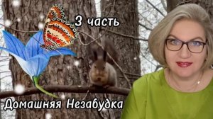 3 часть. Деньги 💰 не пахнут❗️Два мужика на балконе🤪❗️