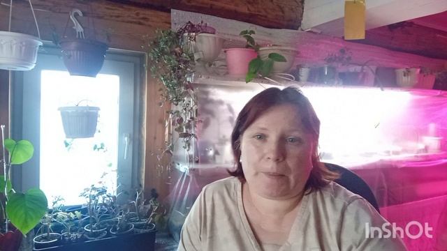 /137/ Жизнь в деревне.Сьездили. в больницу, всё зря. смотреть онлайн