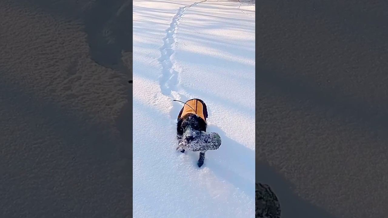 Прекрасная погода, необычная находка / Beautiful weather, unusual find смотреть онлайн