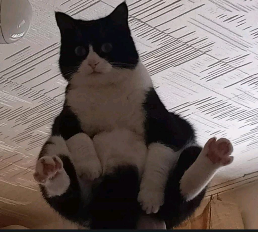 к смотреть онлайн