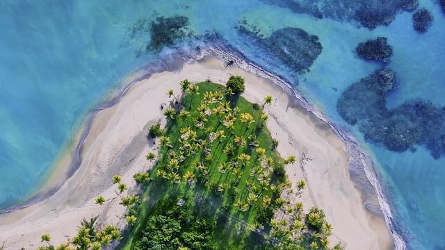 Фоновое видео видеоряд