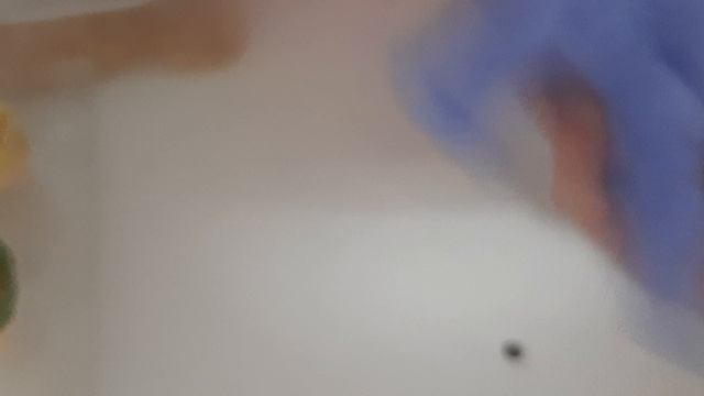 20260210_193730.mp4 смотреть онлайн