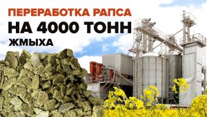 Запустили вторую очередь по переработке рапса. Компания Зерно Сибири.