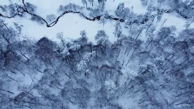 Авторская композиция DjDred 