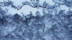 Очень красивая музыка. Авторсккая композиция DjDred "Зима". Записана на korg pa5x