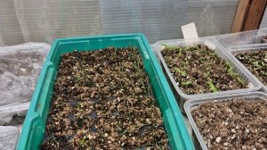 ОБЗОР ВСХОДОВ НА СЕГОДНЯ.10.02.2026