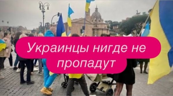 Украинский беженец: а что не брать, когда дают и зачем работать. #новости #беженцыизукраины