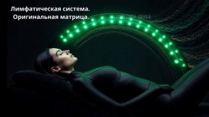 Матрица Гаряева «Очищение Лимфы» — оригинал 2026! Полное восстановление лимфатической системы