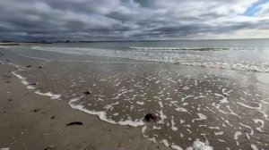 Правдивая Ольга. Анжелика Снежинская. Пуговки-приглашаю к конструктивному разговору