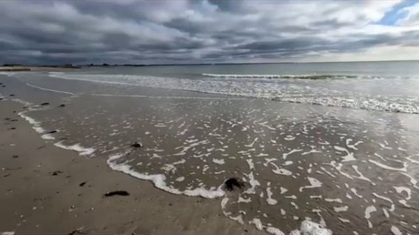 Правдивая Ольга. Анжелика Снежинская. Пуговки-приглашаю к конструктивному разговору