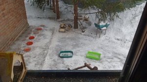 начинается новый день