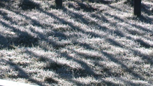 В Сочи своя зима смотреть онлайн