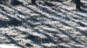 В Сочи своя зима