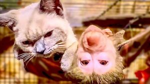 Вы посмотрите КАКОЙ ПРОГРЕСС у Маняшки, я думаю ей не нужны будут ни какие ОПЕРАЦИИ)))