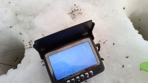 Рыбалка, ищем рыбу