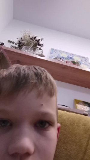 Играю в брукхейвен и слезу за игроками и просто играю