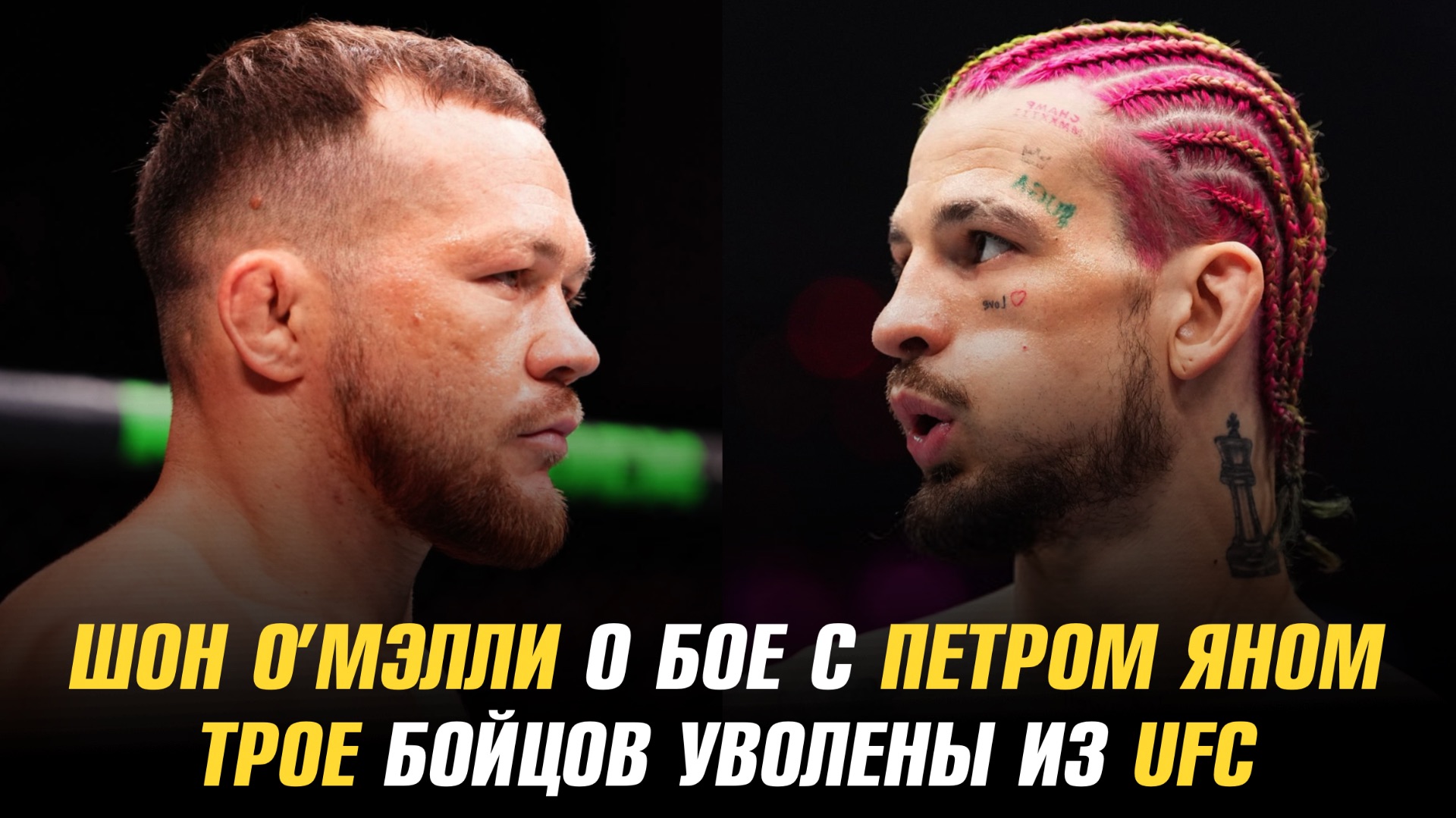 Шон О’Мэлли о третьем бое Петра Яна и Мераба / Трое бойцов уволены из UFC смотреть онлайн