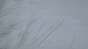 110226гОбед у Шерханчика