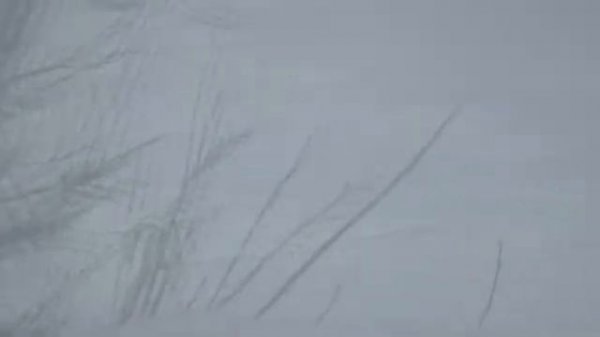 110226гОбед у Шерханчика