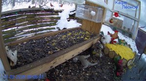 🔴 24 LIVE Главная Кормушка