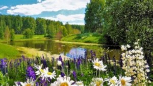 Запретная зона (Suno AI)