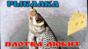 Рыбалка в начале Марта на безмотылку,плотва на сыр (архивное видео )