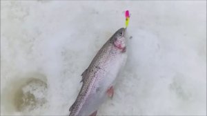 Рыбалка на Спорт-зоне. Клёвое место Лосиный остров.