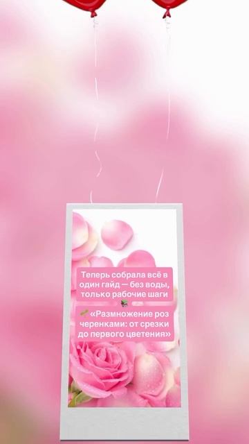 Роза из букета- это просто.