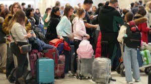 В Госдуме напомнили о новых правилах авиаперелетов для семей с детьми