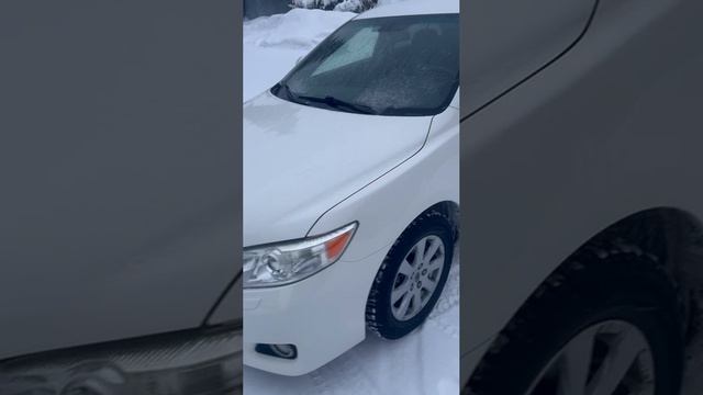 -2377146682071622904 смотреть онлайн