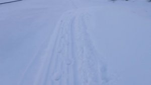 К маме в больницу отвезла вкусняшки// Замёрзла на остановке