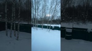 11-02-2026