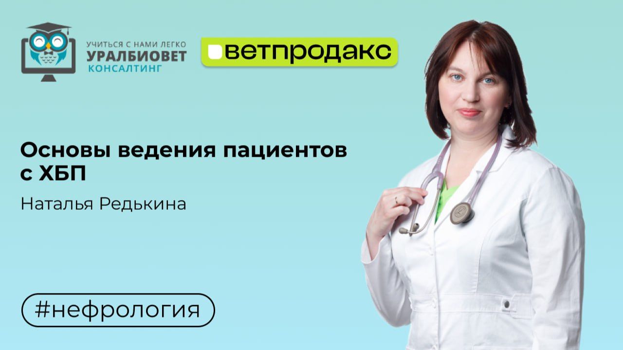 Основы ведения пациентов с ХБП. Лектор Наталья Редькина смотреть онлайн