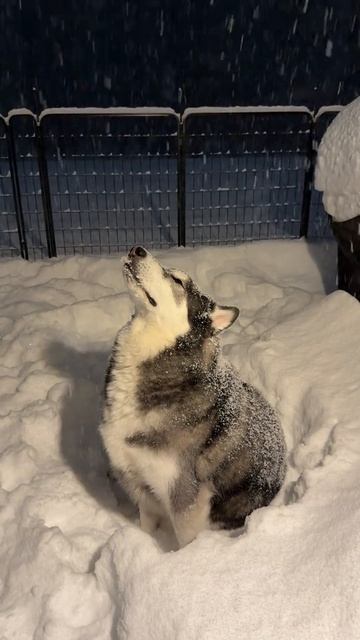 ТАК ВЫГЛЯДИТ СЧАСТЬЕ