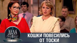 Дела судебные с Еленой Кутьиной. Новые истории. Эфир от 07.11.23