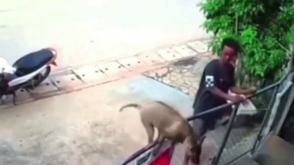 VID_20260211_080936_387.mp4