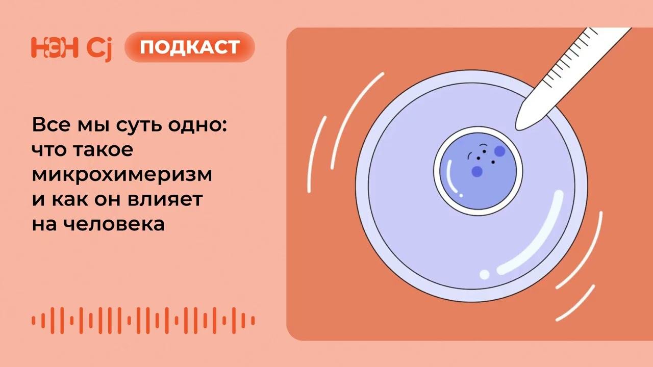 Все мы суть одно: что такое микрохимеризм и как он влияет на человека смотреть онлайн