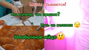 11-02-2026/Жизнь на юге/Погода на юге зимой/Посевная/Поездка/Покупки/Обзор/Ужин/Необычное яйцо-знак/