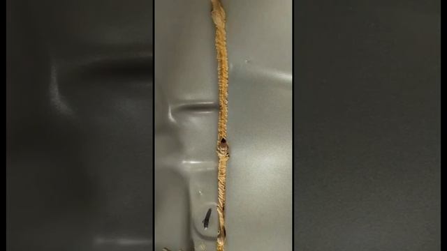 CHANGAN отзывы смотреть онлайн