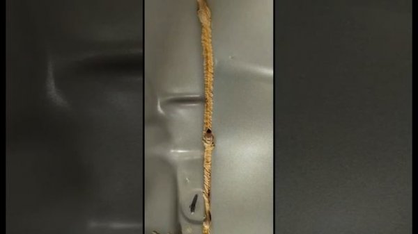 CHANGAN отзывы