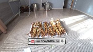 Ревизия, дополнительное вымачивание и хранение черенков винограда для реализации