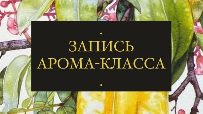 Арома класс 10.02.2026 смотреть онлайн