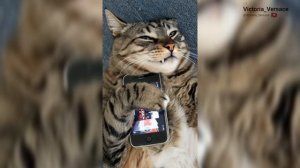 Доброе утро! Желаю море позитива! #утро #доброеутро