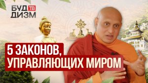 Выпуск 78 — «5 законов, управляющих миром»