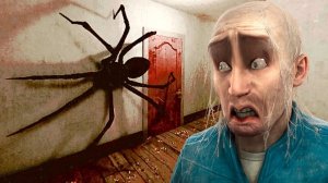 ЗРЯ Я ЗАВЕЛ ПАУКА