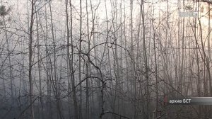 Рыбаку из Братска придётся возместить почти 350 тысяч рублей за тушение лесного пожара