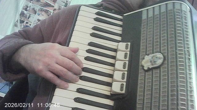 Аккордеон: "По Дону гуляет казак молодой"