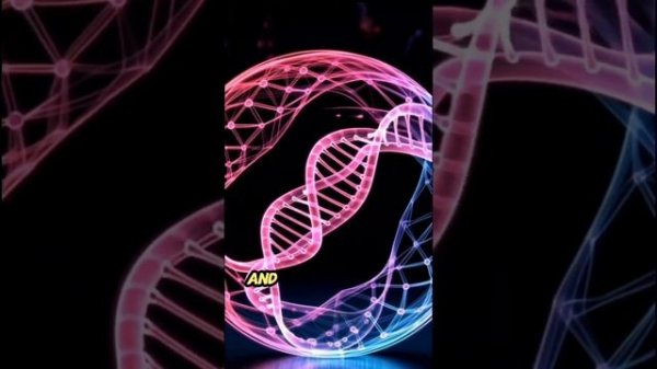 DNK X x Hurt - Wonderful life