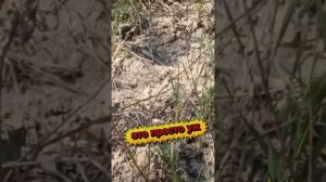 19 апреля 2025 открытие сезона. первая прогулка на каяке по вороне и хопру.