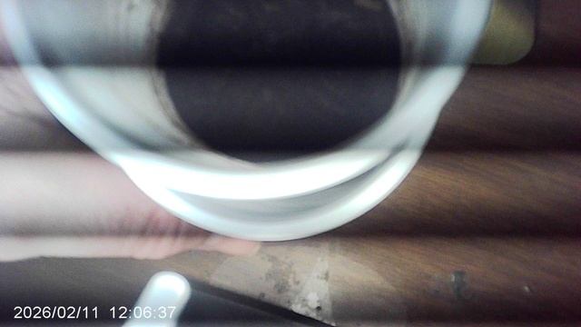 Сегодня 11 февраля 2026: семена кабачков посаженные в конце января всходов ещё не дают